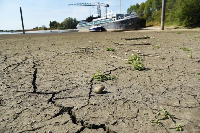 (260811) -- ZEVENAAR, Aug. 11, 2026 (Xinhua) -- Photo taken on Aug. 11, 2026 shows the cracked riverbed of the Rhine in Tolkamer, Zevenaar municipality of the Netherlands. According to the Dutch Ministry of Infrastructure and Water Management, the Rhine's discharge at Lobith, where the river enters the Netherlands from Germany, fell below 615 cubic meters per second on Aug. 11, 2026, marking the lowest level ever recorded amid the persistent drought. (Xinhua/Shao Haijun)