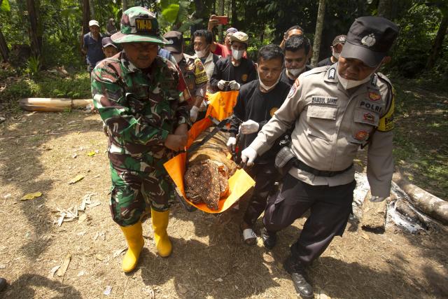 (260812) -- WEST SUMATRA, Aug. 12, 2026 (Xinhua) -- Officers carry a female Sumatran tiger after it was found inside a trap cage in Agam Regency, West Sumatra, Indonesia, Aug. 12, 2026. The capture was carried out as part of efforts to prevent further conflict between the endangered Sumatran tiger and local communities. (Photo by Andri Mardiansyah/Xinhua)