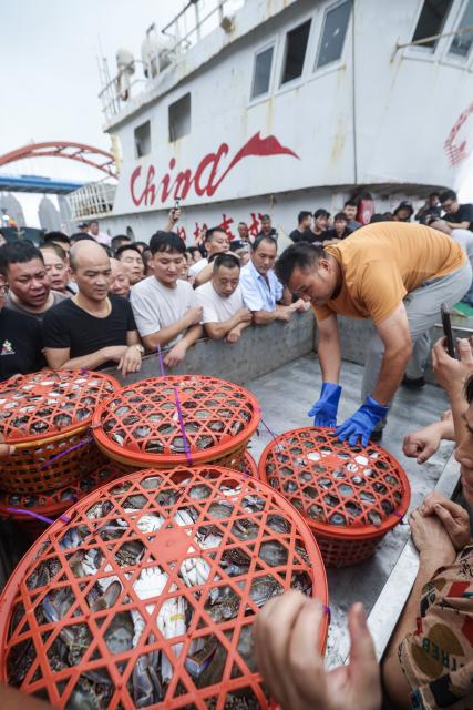 (260812) -- ZHOUSHAN, Aug. 12, 2026 (Xinhua) -- Fishermen load baskets of swimming crabs for transportation at a fishing port of an aquatic products market in Zhoushan City, east China's Zhejiang Province, Aug. 12, 2026. Special licensed fishing vessels set sail for the East China Sea as the summer fishing moratorium was partially lifted on Tuesday. (Xinhua/Xu Yu)