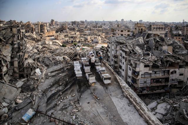 (260812) -- GAZA, Aug. 12, 2026 (Xinhua) -- Sons of Palestinian beekeeper Ibrahim al-Dabba, tend to beehives on the roof of a destroyed building in Gaza City's Tel al-Hawa area, Aug. 10, 2026. Before the war, al-Dabba owned more than 400 beehives spreading across eastern Gaza. Gaza's Ministry of Agriculture said the war had damaged around 28,400 beehives across the Strip. (Photo by Rizek Abdeljawad/Xinhua)