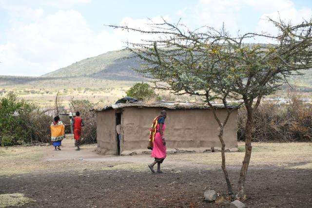 (260813) -- NAROK, Aug. 13, 2026 (Xinhua) -- Maasai villagers are pictured at a village around the Maasai Mara National Reserve in Narok, Kenya, on Aug. 12, 2026.
  The Maasai, one of the major tribes in Kenya, are still living a nomadic lifestyle. As local tourism develops, Maasai people have opened their villages to tourists to increase their income. (Xinhua/Liu Qiong)