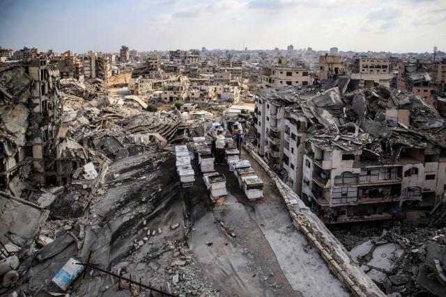 (260813) -- BEIJING, Aug. 13, 2026 (Xinhua) -- Sons of Palestinian beekeeper Ibrahim al-Dabba, tend to beehives on the roof of a destroyed building in Gaza City's Tel al-Hawa area, Aug. 10, 2026. Before the war, al-Dabba owned more than 400 beehives spreading across eastern Gaza. Gaza's Ministry of Agriculture said the war had damaged around 28,400 beehives across the strip. (Photo by Rizek Abdeljawad/Xinhua)