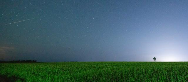 (260813) -- BEIJING, Aug. 13, 2026 (Xinhua) -- This photo taken on Aug. 12, 2026 shows Perseid meteor shower over Tangyuan County of Jiamusi City, northeast China's Heilongjiang Province. Perseid meteor shower, which peaks on August 12 and 13 this year, is an annual meteor shower that occurs from mid-July to late August. (Photo by Chen Zhiguo/Xinhua)