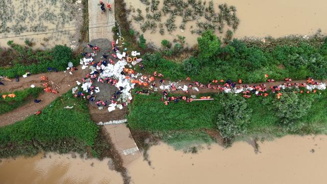 (260813) -- PINGDINGSHAN, Aug. 13, 2026 (Xinhua) -- An aerial drone photo shows repair work underway at the site of a levee breach along the Beiru River in Jiaxian County, central China's Henan Province, Aug. 13, 2026.
  Thousands of people have been evacuated in Henan Province after days of torrential rain swelled rivers and triggered a levee breach, local authorities said Thursday.
  In Pingdingshan City, more than 2,000 people were relocated to safety after a levee along the Beiru River in Jiaxian County gave way on Wednesday night, following extreme rainfall and large-volume discharges from upstream reservoirs. No casualties have been reported so far. (Xinhua/Yang Jinxin)