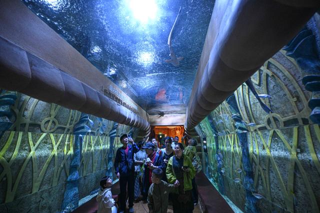 (260813) -- HAIKOU, Aug. 13, 2026 (Xinhua) -- Tourists visit the aquarium of Atlantis Sanya in Sanya, south China's Hainan Province, Jan. 15, 2026. Hainan is stepping up with efforts to build a world-class destination for international tourism and consumption as a key component of the Hainan Free Trade Port, and to probe for a new path towards high-quality development in its tourism-led consumer economy with distinctive local characteristics. 
   Hainan is projected to annually receive 154 million counts of domestic and international visits by 2030, along with tourism-related revenue of 363 billion yuan (about 53.83 billion U.S. dollars). (Xinhua/Pu Xiaoxu)