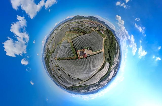(260813) -- ZHAOTONG, Aug. 13, 2026 (Xinhua) -- A panoramic aerial drone taken on Aug. 13, 2026 shows a view of an apple planting and processing base in Zhaotong City, southwest China's Yunnan Province. The early-season apples grown in Zhaotong hit the market in recent days, some 20 to 30 days earlier than common varieties. The city has an apple planting area of 850,000 mu (about 57,000 hectares), including 196,300 mu (about 13,090 hectares) dedicated to early-season varieties. (Xinhua/Chen Xinbo)