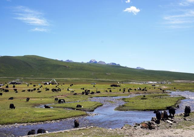 (260814) -- JIUZHI, Aug. 14, 2026 (Xinhua) -- This photo taken on Aug. 13, 2026 shows a view of the Nianbaoyuze national geology park within the Sanjiangyuan national nature reserve in Jiuzhi County, Golog Tibetan Autonomous Prefecture, northwest China's Qinghai Province. (Photo by Liang Zhiqiang/Xinhua)
