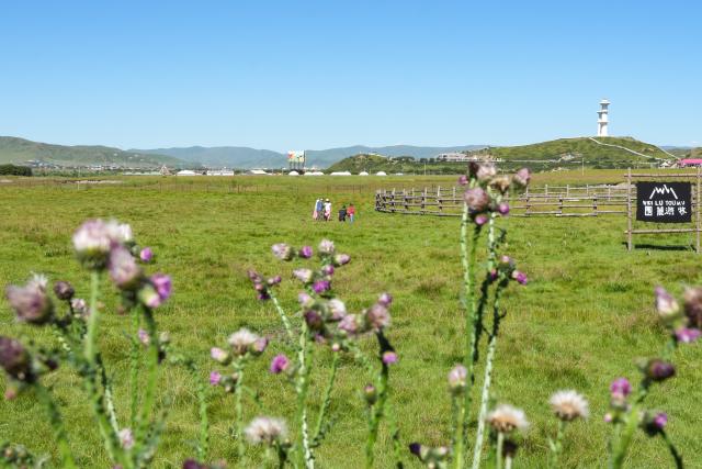 (260814) -- ABA, Aug. 14, 2026 (Xinhua) -- Tourists have fun on the grassland in Hongyuan County, Aba Tibetan and Qiang Autonomous Prefecture, southwest China's Sichuan Province, Aug. 13, 2026. In recent years, Aba Tibetan and Qiang Autonomous Prefecture has leveraged its rich plateau resources to promote the development of agriculture and tourism, injecting new impetus into rural revitalization here. (Xinhua/Wang Xi)