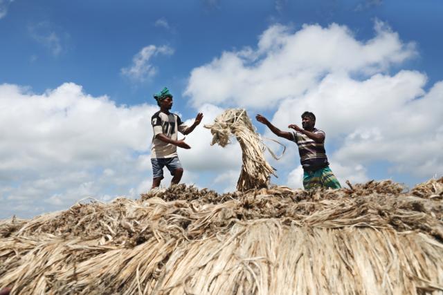 (260814) -- MUNSHIGANJ, Aug. 14, 2026 (Xinhua) -- People transport bundles of jute to a market by boat in Munshiganj, Bangladesh, Aug. 14, 2026. (Photo by Habibur Rahman/Xinhua)