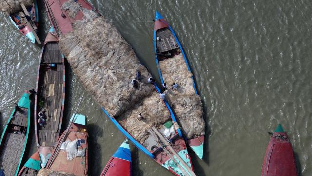 (260814) -- MUNSHIGANJ, Aug. 14, 2026 (Xinhua) -- An aerial drone photo taken on Aug. 14, 2026 shows people trading jute at a floating jute market in Munshiganj, Bangladesh. (Photo by Habibur Rahman/Xinhua)