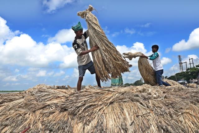 (260814) -- MUNSHIGANJ, Aug. 14, 2026 (Xinhua) -- People transport bundles of jute to a market by boat in Munshiganj, Bangladesh, Aug. 14, 2026. (Photo by Habibur Rahman/Xinhua)
