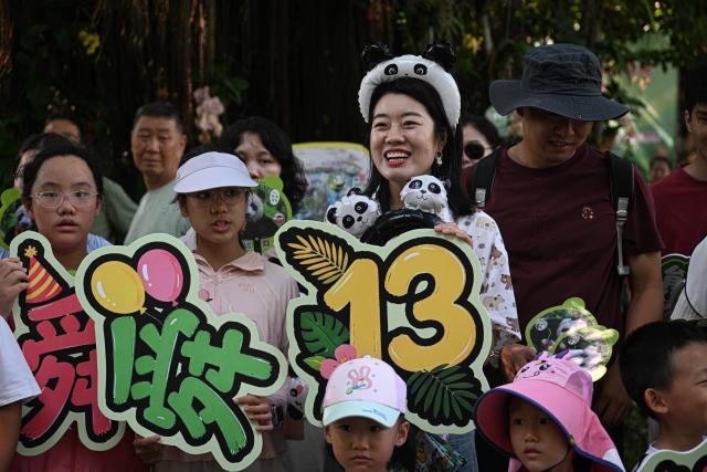 (260815) -- HAIKOU, Aug. 15, 2026 (Xinhua) -- Tourists participate in the birthday celebration for giant panda brothers Gong Gong and Shun Shun at Hainan Tropical Wildlife Park and Botanical Garden in Haikou, south China's Hainan Province, Aug. 15, 2026.
  Hainan Tropical Wildlife Park and Botanical Garden held a 13th birthday celebration for giant panda brothers Gong Gong and Shun Shun on Saturday. They were born in 2013 at the Bifengxia panda base in Ya'an, southwest China's Sichuan Province, and were transferred here in 2018. (Xinhua/Pu Xiaoxu)