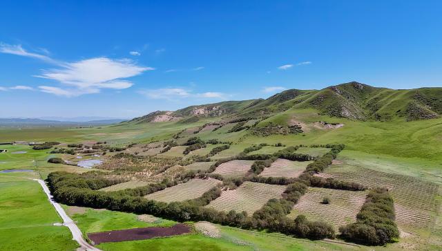 (260815) -- CHENGDU, Aug. 15, 2026 (Xinhua) -- An aerial drone photo taken on July 24, 2026 shows a view of a grassland desertification control project in Xicang Village in Aba Tibetan-Qiang Autonomous Prefecture, southwest China's Sichuan Province. The Zoige Wetland is mostly located in Aba Tibetan-Qiang Autonomous Prefecture in southwest China's Sichuan Province. It is an important water source conservation area in the upper reaches of the Yellow River. In recent years, local authorities have carried out ecological restoration projects, including riverbank protection along the Yellow River, restoration of mining areas, grassland desertification control and wetland restoration. So far, a total area of 232,500 hectares has been restored. (Xinhua/Wang Xi)