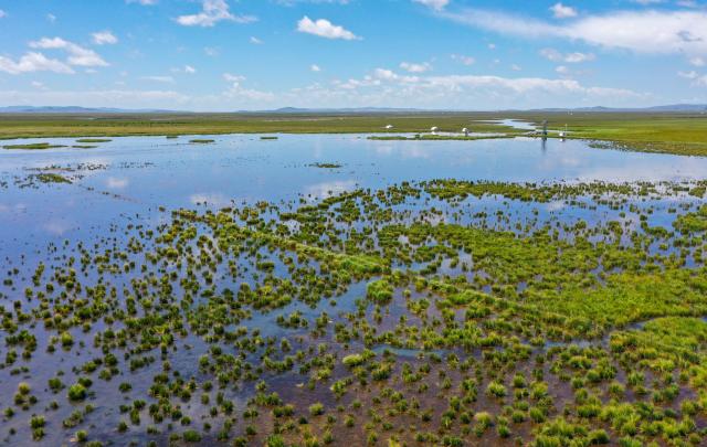 (260815) -- CHENGDU, Aug. 15, 2026 (Xinhua) -- An aerial drone photo taken on Aug. 22, 2023 shows a lake in Zoige County of Aba Tibetan-Qiang Autonomous Prefecture, southwest China's Sichuan Province. The Zoige Wetland is mostly located in Aba Tibetan-Qiang Autonomous Prefecture in southwest China's Sichuan Province. It is an important water source conservation area in the upper reaches of the Yellow River. In recent years, local authorities have carried out ecological restoration projects, including riverbank protection along the Yellow River, restoration of mining areas, grassland desertification control and wetland restoration. So far, a total area of 232,500 hectares has been restored. (Xinhua/Wang Xi)