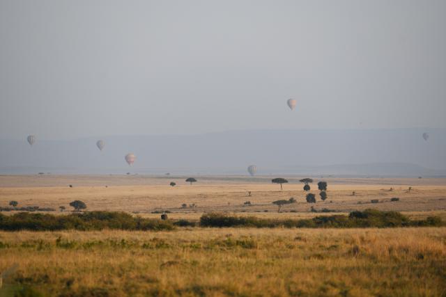 (260816) -- NAROK, Aug. 16, 2026 (Xinhua) -- Hot-air balloons float above the savanna in the Maasai Mara National Reserve in Narok, Kenya, Aug. 14, 2026. The Great Wildebeest Migration is world-famous, but the Maasai Mara has more stories beyond the dramatic river crossings. Herds rest and gather strength. Plants grow and fade. All wildlife follows the rhythm of the savanna, sustaining this land's enduring life. (Xinhua/Liu Qiong)