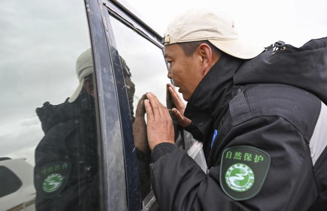 (260816) -- RUOQIANG, Aug. 16, 2026 (Xinhua) -- Ranger Airiqin checks an abandoned car left by illegal intruders in the Altun Mountain National Nature Reserve in northwest China's Xinjiang Uygur Autonomous Region, on Aug. 8, 2026. Averaging 4,500 meters in elevation, the Altun Mountain National Nature Reserve, a 45,000-square-kilometer haven situated in the southeastern corner of Xinjiang, is subject to harsh environmental conditions. 
   In early August, a patrol team comprising nature reserve staff, local township officials and police officers ventured into this remote plateau wilderness for a monthly routine patrol.  
   Bumping along a dry river valley winding through the mountains, the team members checked for suspicious signs, observed wildlife, and maintained management station facilities. They conducted routine inspections within the reserve supported by advanced technological equipment, including high-altitude surveillance cameras, infrared cameras and drones. Their main mission was to curb illegal activities to ensure protection of one of China's most remote and ecologically vital sanctuaries. 
  At nearly 4,800 meters above sea level, almost every member of the team suffered from altitude sickness like headaches and insomnia, but their firm conviction to protect this reserve gave them strength to overcome challenges and carry on with their work. 
  Established in 1983, the reserve is managed by a team of about 70 people. Over the past 40 years, generation after generation of patrollers have devoted themselves to protecting this land with stark contrasts and rich biodiversity. (Xinhua/Hu Huhu)