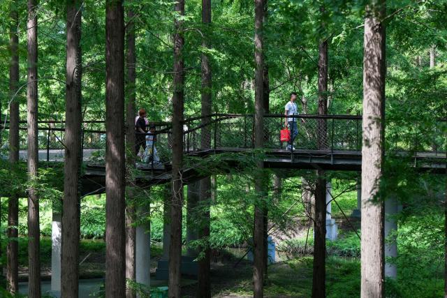 (260816) -- NANJING, Aug. 16, 2026 (Xinhua) -- Visitors are pictured at the Dongtai Huanghai Forest Park in Dongtai of Yancheng, east China's Jiangsu Province, on Aug. 16, 2026 (Xinhua/Li Bo)
