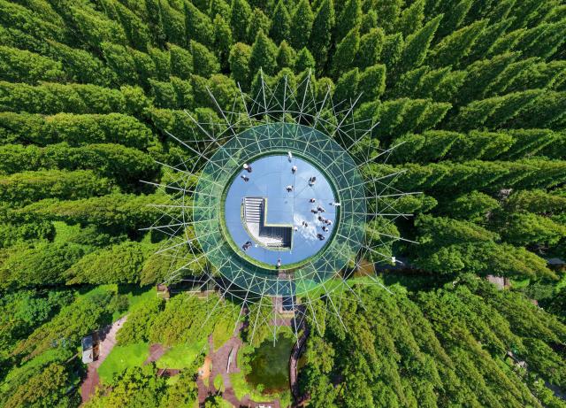 (260816) -- NANJING, Aug. 16, 2026 (Xinhua) -- A drone photo taken on Aug. 16, 2026 shows a view of the Dongtai Huanghai Forest Park in Dongtai of Yancheng, east China's Jiangsu Province. (Xinhua/Li Bo)