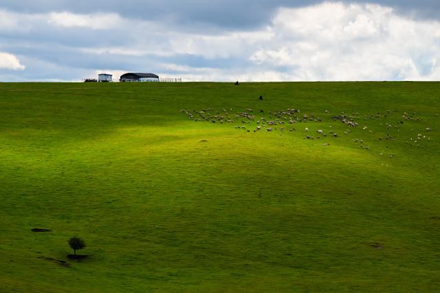 (260816) -- HULUNBUIR, Aug. 16, 2026 (Xinhua) -- This photo taken on Aug. 16, 2026 shows a view of Hake Scarp and its surrounding areas in Hailar District of Hulun Buir, north China's Inner Mongolia Autonomous Region. (Xinhua/Lian Zhen)