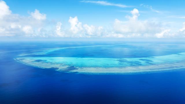(260816) -- SOUTH CHINA SEA, Aug. 16, 2026 (Xinhua) -- An aerial drone photo taken on July 8, 2026 shows a view of China's Huangyan Dao in the South China Sea. Huangyan Dao, located in China's Zhongsha Qundao, features a unique coral reef ecosystem and special geological structures. It is home to numerous rare and endangered species, making it an area of high biodiversity and species rarity.
   Huangyan Dao is China's inherent territory. In September 2025, China formally approved to establish the Huangyan Dao National Nature Reserve.
   The China Coast Guard has carried out regular patrols and law enforcement to safeguard China's territorial sovereignty, maritime rights and interests, and ecological environment in the waters of the reserve. (Xinhua/Wang Peng)