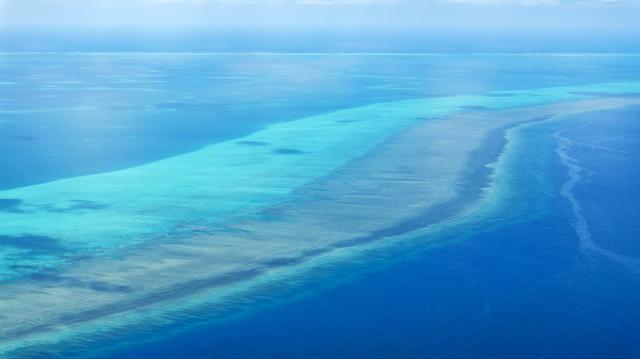 (260816) -- SOUTH CHINA SEA, Aug. 16, 2026 (Xinhua) -- An aerial drone photo taken on July 8, 2026 shows the coral reef flat and shoals in the territorial waters of China's Huangyan Dao in the South China Sea. Huangyan Dao, located in China's Zhongsha Qundao, features a unique coral reef ecosystem and special geological structures. It is home to numerous rare and endangered species, making it an area of high biodiversity and species rarity.
   Huangyan Dao is China's inherent territory. In September 2025, China formally approved to establish the Huangyan Dao National Nature Reserve.
   The China Coast Guard has carried out regular patrols and law enforcement to safeguard China's territorial sovereignty, maritime rights and interests, and ecological environment in the waters of the reserve. (Xinhua/Wang Peng)