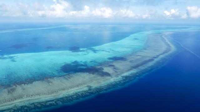 (260816) -- SOUTH CHINA SEA, Aug. 16, 2026 (Xinhua) -- An aerial drone photo taken on July 8, 2026 shows the coral reef flat and shoals in the territorial waters of China's Huangyan Dao in the South China Sea. Huangyan Dao, located in China's Zhongsha Qundao, features a unique coral reef ecosystem and special geological structures. It is home to numerous rare and endangered species, making it an area of high biodiversity and species rarity.
   Huangyan Dao is China's inherent territory. In September 2025, China formally approved to establish the Huangyan Dao National Nature Reserve.
   The China Coast Guard has carried out regular patrols and law enforcement to safeguard China's territorial sovereignty, maritime rights and interests, and ecological environment in the waters of the reserve. (Xinhua/Wang Peng)