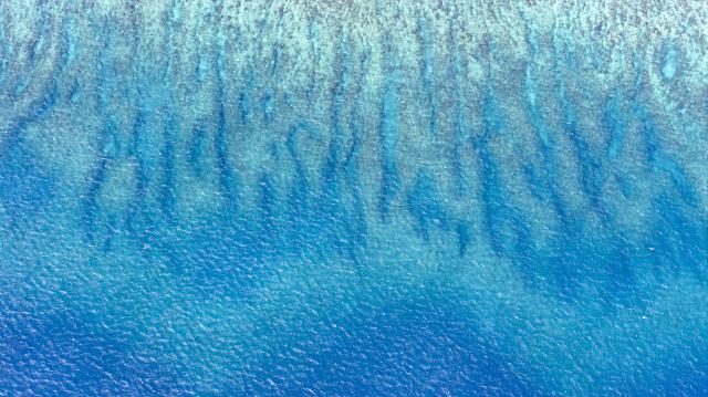 (260816) -- SOUTH CHINA SEA, Aug. 16, 2026 (Xinhua) -- An aerial drone photo taken on Aug. 12, 2026 shows the coral reef flat in the territorial waters of China's Huangyan Dao in the South China Sea. Huangyan Dao, located in China's Zhongsha Qundao, features a unique coral reef ecosystem and special geological structures. It is home to numerous rare and endangered species, making it an area of high biodiversity and species rarity.
   Huangyan Dao is China's inherent territory. In September 2025, China formally approved to establish the Huangyan Dao National Nature Reserve.
   The China Coast Guard has carried out regular patrols and law enforcement to safeguard China's territorial sovereignty, maritime rights and interests, and ecological environment in the waters of the reserve. (Xinhua/Wang Peng)