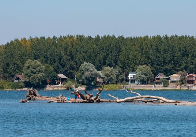 (260816) -- BELGRADE, Aug. 16, 2026 (Xinhua) -- This photo taken on Aug. 16, 2026 in Belgrade, Serbia, shows tree trunks exposed in the Danube River as the river's water level approached record-low by severe drought. (Photo by Wang Wei/Xinhua)