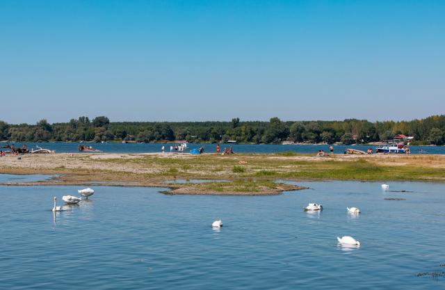 (260816) -- BELGRADE, Aug. 16, 2026 (Xinhua) -- People cool off on the riverbed of the Danube River in Belgrade, Serbia, on Aug. 16, 2026. Riverbed was exposed as the water level of the Danube River approached record-low by severe drought. (Photo by Wang Wei/Xinhua)