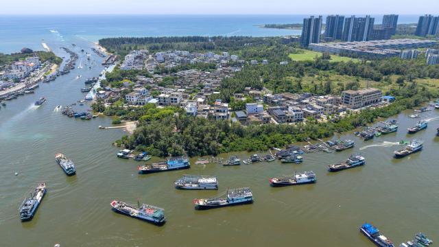 (260817) -- BEIJING , Aug. 17, 2026 (Xinhua) -- An aerial drone photo taken on Aug. 16, 2026 shows fishing boats departing for fishing from Tanmen port in Qionghai, south China's Hainan Province. The fishing season of the South China Sea kicked off at noon on Sunday after this summer's three-and-a-half-month fishing ban. (Photo by Meng Zhongde/Xinhua)