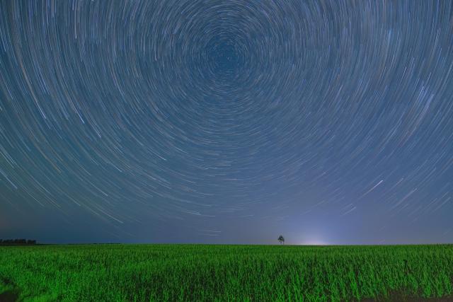 (260817) -- HARBIN, Aug. 17, 2026 (Xinhua) -- This stack composite photo taken on Aug. 12, 2026 shows corn fields under starry sky in Tangyuan County of Jiamusi City, northeast China's Heilongjiang Province. (Photo by Chen Zhiguo/Xinhua)