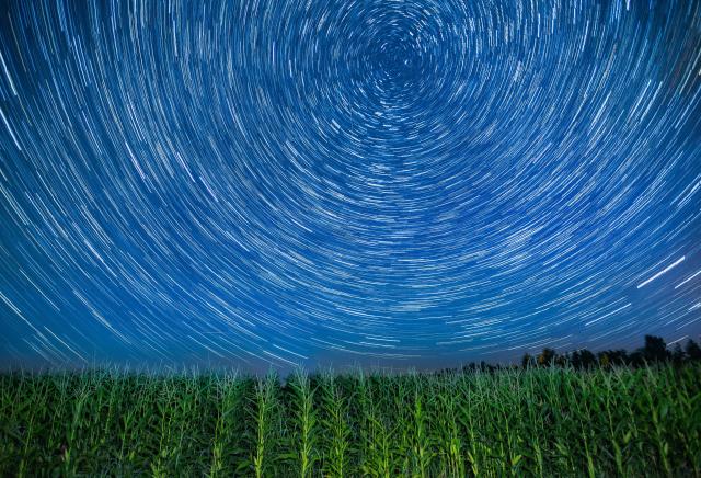 (260817) -- HARBIN, Aug. 17, 2026 (Xinhua) -- This stack composite photo taken on Aug. 14, 2026 shows corn fields under starry sky in Jiayin County of Yichun City, northeast China's Heilongjiang Province. (Photo by Li Shaojun/Xinhua)