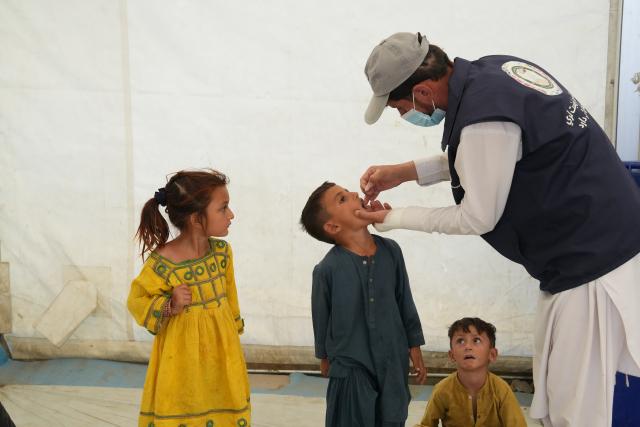 (260817) -- KABUL, Aug. 17, 2026 (Xinhua) -- A health worker administers a dose of polio vaccine to a refugee child in Kabul, Afghanistan, on Aug. 17, 2026. The Afghan government on Monday launched a polio vaccination campaign targeting children in five provinces to prevent further spread of the disease, local media outlet TOLOnews reported, citing the Ministry of Public Health. (Photo by Saifurahman Safi/Xinhua)