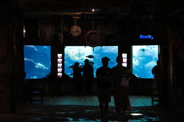 (260817) -- DURBAN, Aug. 17, 2026 (Xinhua) -- People visit the aquarium at uShaka Marine World in Durban, South Africa, Aug. 16, 2026. Located in Durban, uShaka Marine World is a marine theme park featuring a shipwreck-themed aquarium, marine life exhibits and water attractions. (Xinhua/Chen Wei)