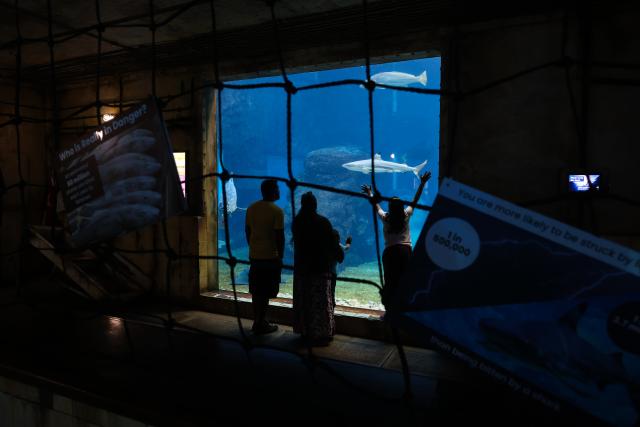 (260817) -- DURBAN, Aug. 17, 2026 (Xinhua) -- People visit the aquarium at uShaka Marine World in Durban, South Africa, Aug. 16, 2026. Located in Durban, uShaka Marine World is a marine theme park featuring a shipwreck-themed aquarium, marine life exhibits and water attractions. (Xinhua/Chen Wei)