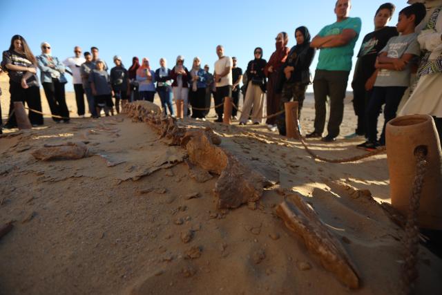 (260818) -- FAYOUM, Aug. 18, 2026 (Xinhua) -- Tourists visit whale fossil remains at Wadi Al-Hitan, or the Whale Valley, in Fayoum, western Egypt, on Aug. 18, 2026. Wadi Al-Hitan, or the Whale Valley, located in the western desert of Egypt, contains invaluable fossil remains of the earliest, and now extinct, suborder of whales, Archaeoceti. It was listed as a World Heritage Site by UNESCO in 2005. (Xinhua/Ahmed Gomaa)