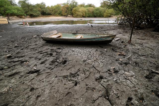 (260818) -- LONDON, Aug. 18, 2026 (Xinhua) -- Dried and cracked bed of the Hollow Pond is pictured in London, Britain, on Aug. 18, 2026. In Britain, extreme dryness becomes a defining feature of the summer. Provisional data from the Met Office showed that England and Wales experienced their driest July on record, while nearly three-quarters of England was officially under drought conditions by Aug. 10. (Xinhua/Li Ying)