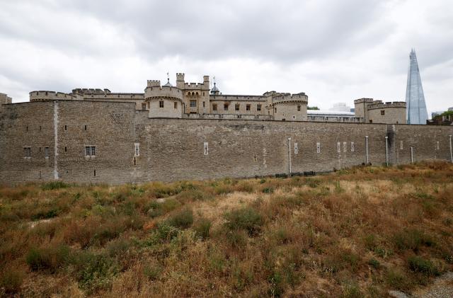 (260818) -- LONDON, Aug. 18, 2026 (Xinhua) -- Dry garden outside the Tower of London, turned yellow-brown due to dryness, is pictured in London, Britain, on Aug. 18, 2026. In Britain, extreme dryness becomes a defining feature of the summer. Provisional data from the Met Office showed that England and Wales experienced their driest July on record, while nearly three-quarters of England was officially under drought conditions by Aug. 10. (Xinhua/Li Ying)