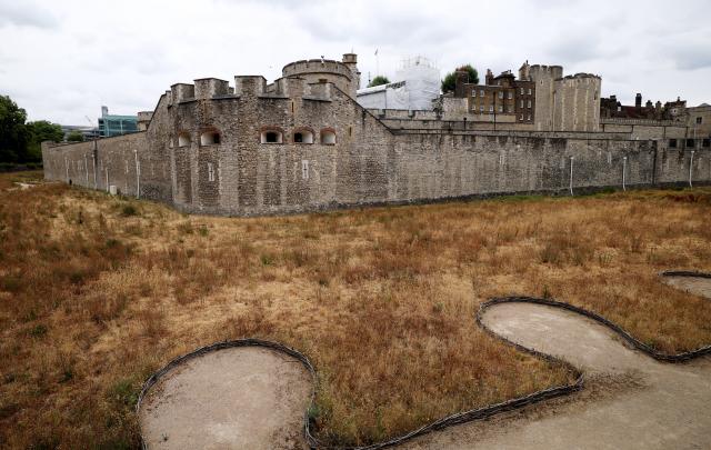 (260818) -- LONDON, Aug. 18, 2026 (Xinhua) -- Dry garden outside the Tower of London, turned yellow-brown due to dryness, is pictured in London, Britain, on Aug. 18, 2026. In Britain, extreme dryness becomes a defining feature of the summer. Provisional data from the Met Office showed that England and Wales experienced their driest July on record, while nearly three-quarters of England was officially under drought conditions by Aug. 10. (Xinhua/Li Ying)