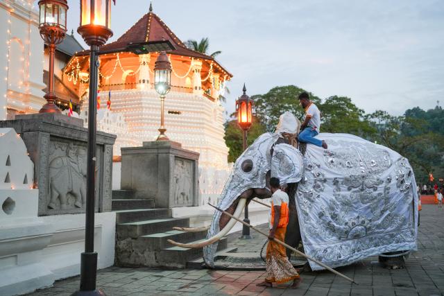 (260819) -- KANDY, Aug. 19, 2026 (Xinhua) -- An elephant attends a procession celebrating the Esala Perahera festival in Kandy, Sri Lanka, on Aug. 18, 2026. Esala Perahera is one of the grandest Buddhist festivals in Sri Lanka, with a history of more than 1,000 years. (Photo by Thilina Kaluthotage/Xinhua)