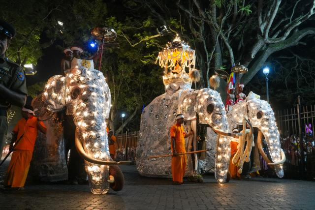 (260819) -- KANDY, Aug. 19, 2026 (Xinhua) -- Elephants attend a procession celebrating the Esala Perahera festival in Kandy, Sri Lanka, on Aug. 18, 2026. Esala Perahera is one of the grandest Buddhist festivals in Sri Lanka, with a history of more than 1,000 years. (Photo by Thilina Kaluthotage/Xinhua)