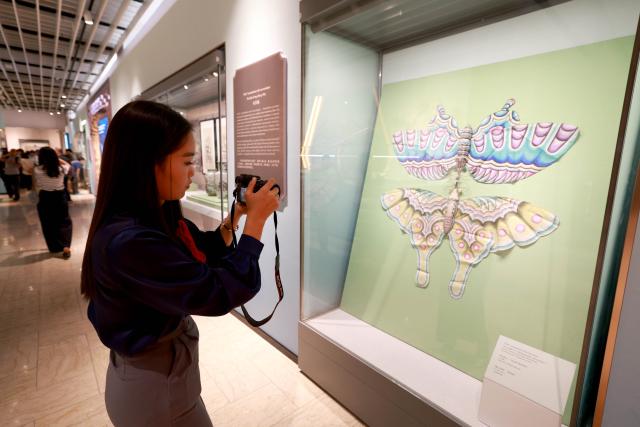 (260819) -- BISHKEK, Aug. 19, 2026 (Xinhua) -- A visitor takes photos of an exhibit at the exhibition "Harmony Creates Beauty: An Art Exhibition of Ancient Chinese Civilization" at the National History Museum of the Kyrgyz Republic in Bishkek, Kyrgyzstan, Aug. 18, 2026.
  The three-month exhibition, under the direction of China's National Cultural Heritage Administration, is jointly organized by the Tianjin Municipal Administration of Culture and Tourism, the Cultural Relics Bureau of the Inner Mongolia Autonomous Region, the Tianjin Museum, the Inner Mongolia Museum, the National History Museum of the Kyrgyz Republic, and the Chinese Cultural Center in Bishkek. (Photo by Roman Gainanov/Xinhua)