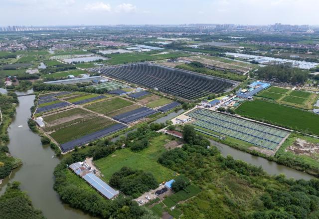 (260820) -- NANJING, Aug. 20, 2026 (Xinhua) -- An aerial drone photo taken on Aug. 19, 2026 shows a photovoltaic power project in Taizhou, east China's Jiangsu Province. The overall installed capacity of photovoltaic power-generating facilities in Jiangsu has exceeded 100-gigawatt mark to reach 100.08 gigawatts by the end of July 2026, according to the State Grid Jiangsu Electric Power Company. (Photo by Tang Dehong/Xinhua)