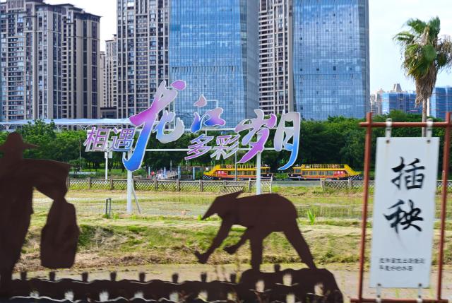 (260820) -- ZHANGZHOU, Aug. 20, 2026 (Xinhua) -- This photo taken on Aug. 19, 2026 shows a view of Longjiang Suiyue park in Zhangzhou, southeast China's Fujian Province. Longjiang Suiyue park, a cultural and tourism complex, was transformed from an area with dilapidated buildings, widespread garbage, and wasted water. The renovated park officially opened on Dec. 31, 2024, and has attracted over 18 million visitors as of this June. (Xinhua/Lin Shanchuan)