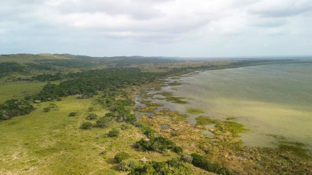 (260821) -- KWAZULU-NATAL, Aug. 21, 2026 (Xinhua) -- An aerial drone photo taken on Aug. 20, 2026 shows a view of iSimangaliso Wetland Park in KwaZulu-Natal Province, South Africa. Located in northern KwaZulu-Natal Province, the park features a rich diversity of ecosystems, including lakes, wetlands, beaches and coastal forests. It was inscribed on the UNESCO World Heritage List in 1999. (Xinhua/Chen Wei)