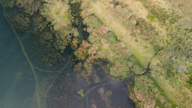 (260821) -- KWAZULU-NATAL, Aug. 21, 2026 (Xinhua) -- An aerial drone photo taken on Aug. 20, 2026 shows a view of Lake St. Lucia at iSimangaliso Wetland Park in KwaZulu-Natal Province, South Africa. Located in northern KwaZulu-Natal Province, the park features a rich diversity of ecosystems, including lakes, wetlands, beaches and coastal forests. It was inscribed on the UNESCO World Heritage List in 1999. (Xinhua/Chen Wei)