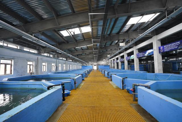 (260821) -- FUYUAN, Aug. 21, 2026 (Xinhua) -- An amur sturgeon cultivation factory is seen at a modern industrial park in Fuyuan City, northeast China's Heilongjiang Province, Aug. 20, 2026. Known as the "city of freshwater fish", Fuyuan is promoting the high-quality development of its fishing industry. (Xinhua/Na Yuqi)