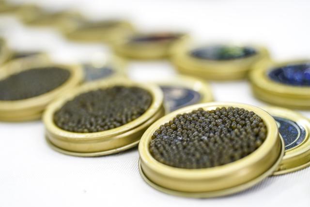 (260821) -- FUYUAN, Aug. 21, 2026 (Xinhua) -- Caviar products are displayed at a modern industry park in Fuyuan City, northeast China's Heilongjiang Province, Aug. 20, 2026. Known as the "city of freshwater fish", Fuyuan is promoting the high-quality development of its fishing industry. (Xinhua/Na Yuqi)
