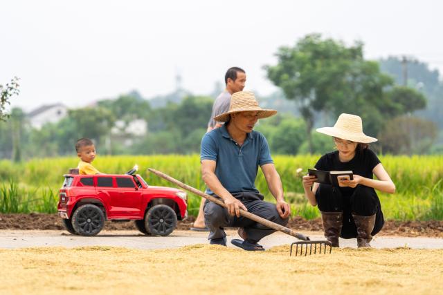 (260821) -- CHANGSHA, Aug. 21, 2026 (Xinhua) -- Wang Jin (R) communicates with a farmer about crop yield in Duandi Village, Zhujiapu Town of Hanshou County, Changde City, central China's Hunan Province, Aug. 20, 2026. "Working in agricultural technology requires patience and the ability to stay focused," says Wang Jin, a 24-year-old grassroots agricultural technician.
   Wang returned to her hometown Zhujiapu Town after graduation in 2023. She joined the town's agricultural service center and immediately immersed herself in rural life. For the past three years, she has trudged through mud and braved heat and cold, working in the rice paddies day in and day out.
   When she first started, many local farmers were skeptical of her. But Wang stayed grounded, bridging textbook knowledge with hands-on practice and continuously sharpening her skills.
   In her view, the fundamental solution to food security lies in science and technology, which can only gain real power when it takes root in the soil.
   Every drop of sweat tells its own story. Through hard work and dedication, Wang Jin embodies the commitment and passion of a new-generation agricultural worker, writing her own chapter of youth on the frontlines of rural revitalization. (Xinhua/Chen Sihan)