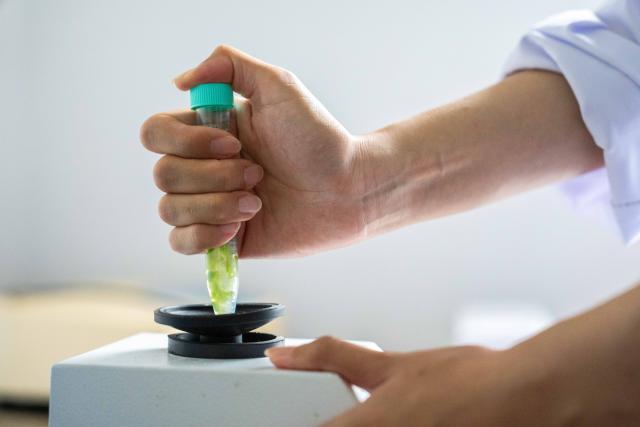 (260821) -- CHANGSHA, Aug. 21, 2026 (Xinhua) -- Wang Jin mixes a vegetable sample with a reagent at an agricultural service center in Zhujiapu Town of Hanshou County, Changde City, central China's Hunan Province, Aug. 21, 2026. "Working in agricultural technology requires patience and the ability to stay focused," says Wang Jin, a 24-year-old grassroots agricultural technician.
   Wang returned to her hometown Zhujiapu Town after graduation in 2023. She joined the town's agricultural service center and immediately immersed herself in rural life. For the past three years, she has trudged through mud and braved heat and cold, working in the rice paddies day in and day out.
   When she first started, many local farmers were skeptical of her. But Wang stayed grounded, bridging textbook knowledge with hands-on practice and continuously sharpening her skills.
   In her view, the fundamental solution to food security lies in science and technology, which can only gain real power when it takes root in the soil.
   Every drop of sweat tells its own story. Through hard work and dedication, Wang Jin embodies the commitment and passion of a new-generation agricultural worker, writing her own chapter of youth on the frontlines of rural revitalization. (Xinhua/Chen Sihan)